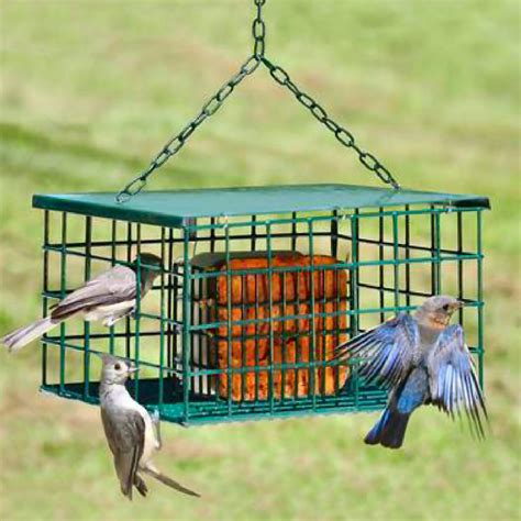 Squirrel Resistant Metal Suet Palace Bird Feeder 